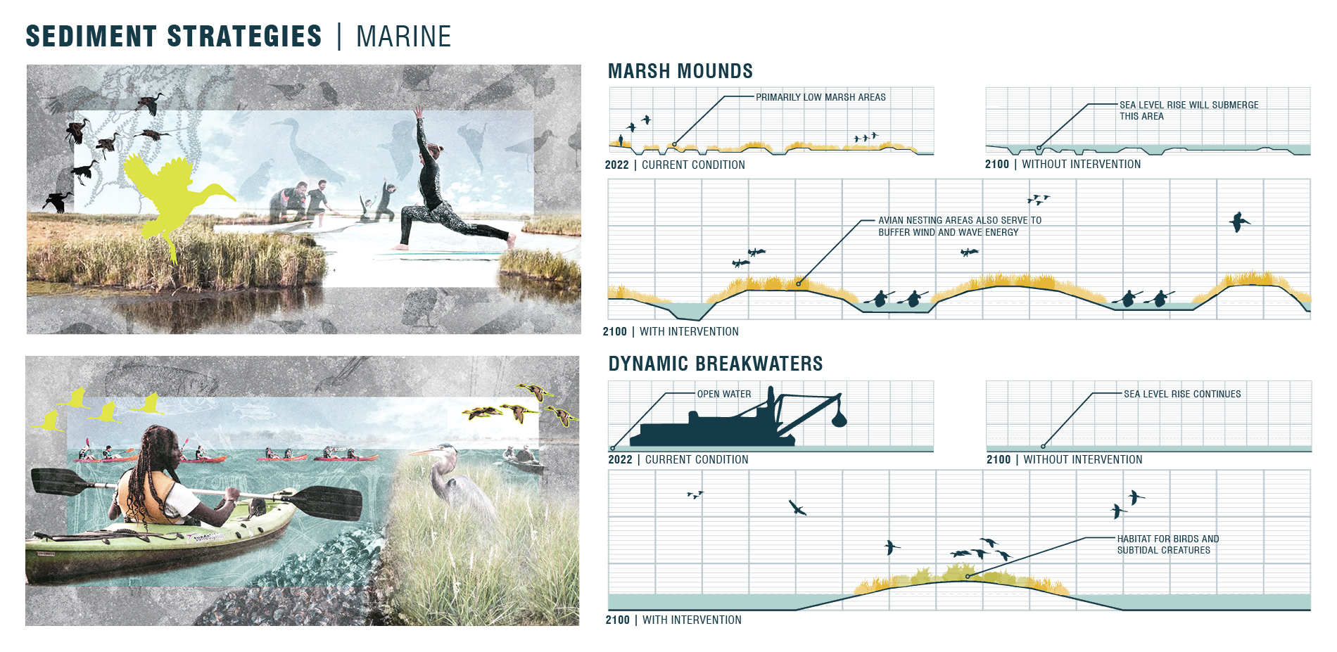 Sediment Strategies: Marine